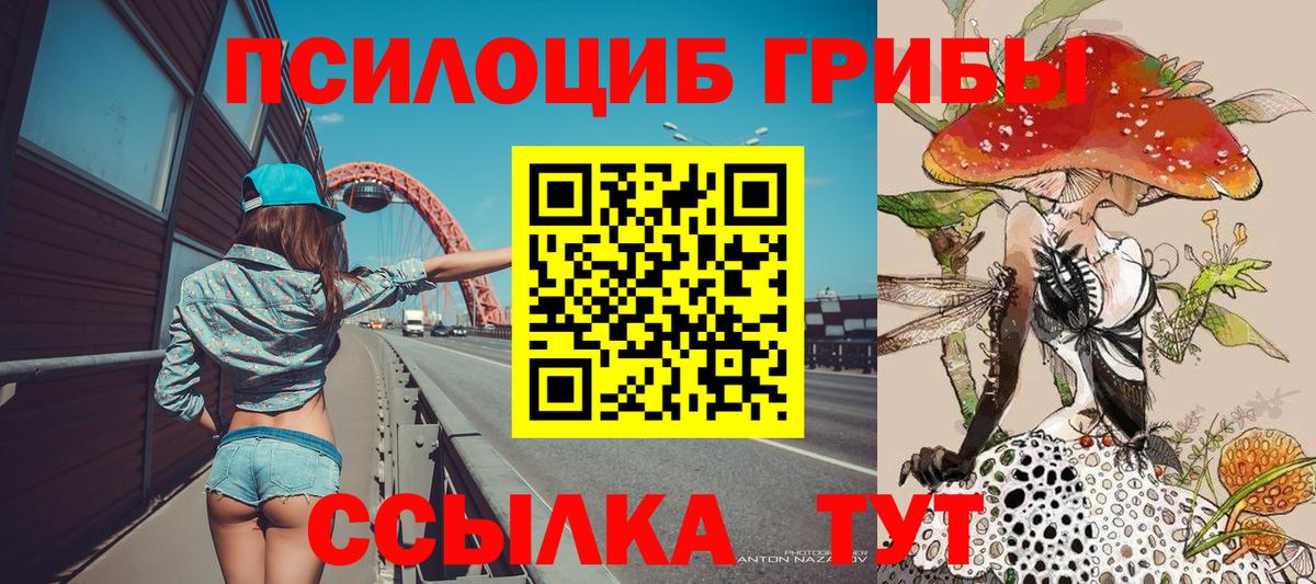 Галлюциногенные грибы Psilocybine cubensis  Вход с VPN  Ефремов 